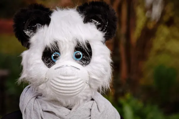 Volcano Bingo Casino Support